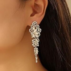 Elegant Silver Crystal Drop Earrings
